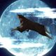 Illustration for article titled The Most Awesome Video Game Dog Companions